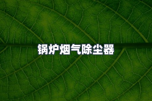 锅炉烟气除尘器